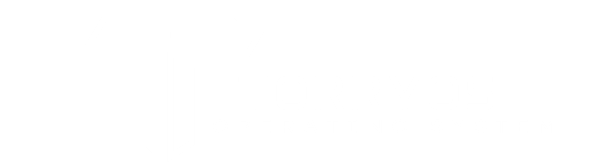 TorryOS